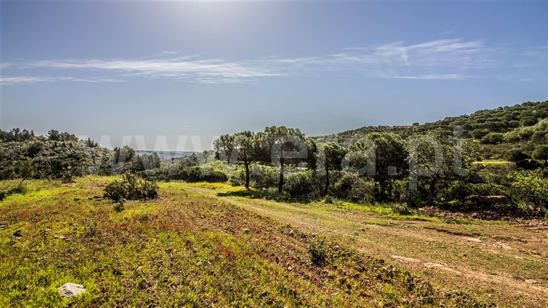 Terreno com ruina  Castro Marim, Odeleite - 1137488 - 19