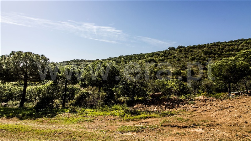 Terreno com ruina  Castro Marim, Odeleite - 1137488 - 20