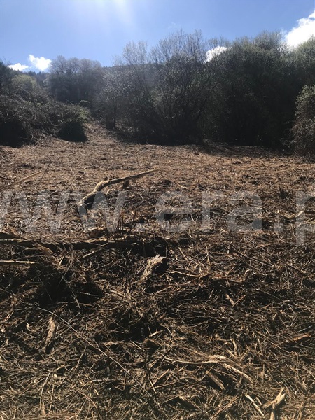 Terreno com ruina  Celorico da Beira, Celorico (São Pedro e Santa Maria) e Vila Boa do Mondego - 1494779 - 1