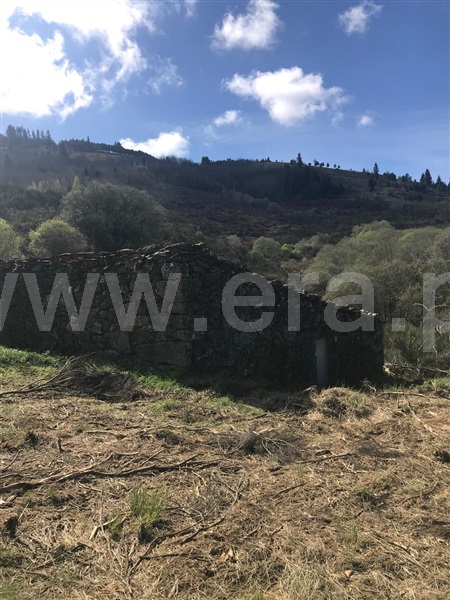 Terreno com ruina  Celorico da Beira, Celorico (São Pedro e Santa Maria) e Vila Boa do Mondego - 1494779 - 2
