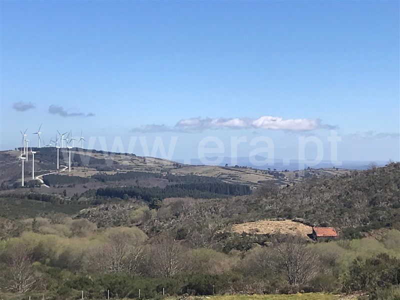 Terreno com ruina  Celorico da Beira, Celorico (São Pedro e Santa Maria) e Vila Boa do Mondego - 1494779 - 4