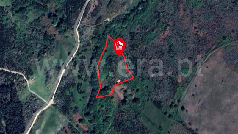 Terreno com ruina / Celorico da Beira, Cortiçô da Serra, Vide entre Vinhas e Salgueirais