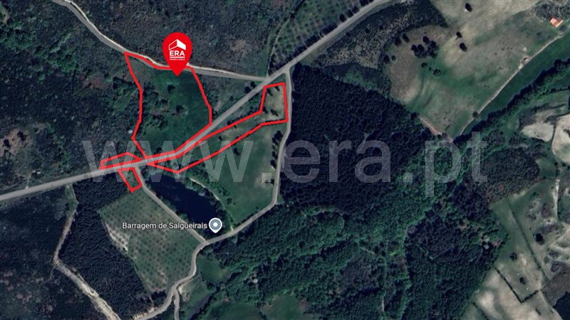 Terreno com ruina  Celorico da Beira, Celorico (São Pedro e Santa Maria) e Vila Boa do Mondego - 1494782 - 1