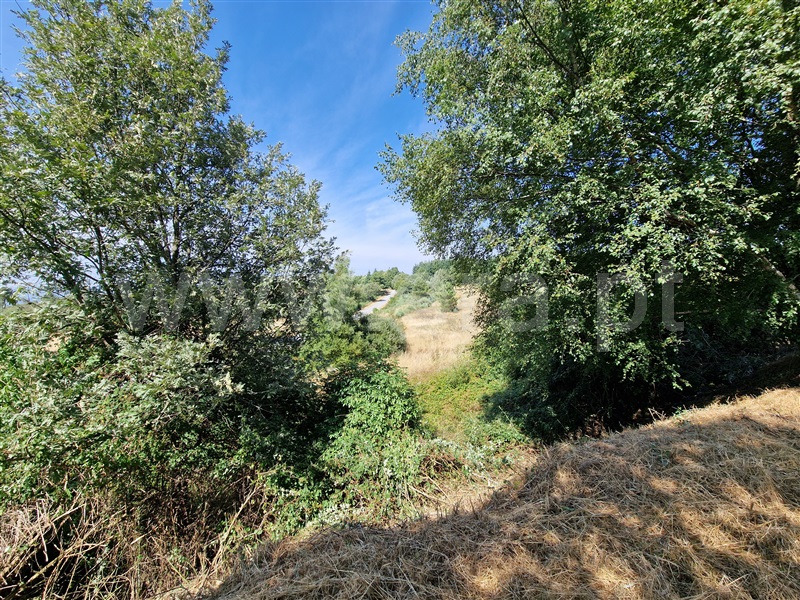 Terreno com ruina  Celorico da Beira, Cortiçô da Serra, Vide entre Vinhas e Salgueirais - 1494782 - 3