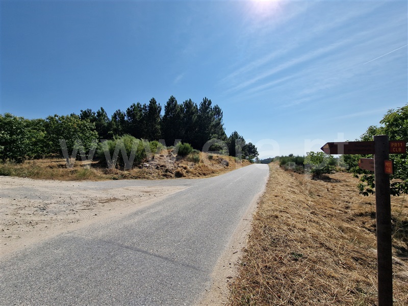 Terreno com ruina  Celorico da Beira, Cortiçô da Serra, Vide entre Vinhas e Salgueirais - 1494782 - 6