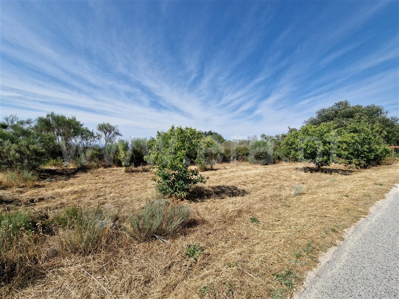 Terreno com ruina  Celorico da Beira, Cortiçô da Serra, Vide entre Vinhas e Salgueirais - 1494782 - 8