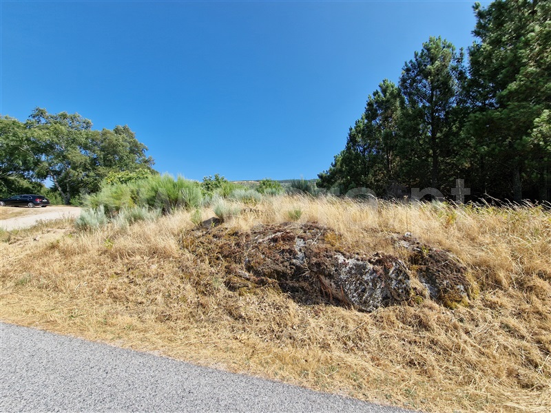 Terreno com ruina  Celorico da Beira, Cortiçô da Serra, Vide entre Vinhas e Salgueirais - 1494782 - 9
