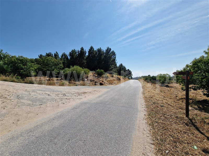 Terreno com ruina  Celorico da Beira, Cortiçô da Serra, Vide entre Vinhas e Salgueirais - 1494782 - 12