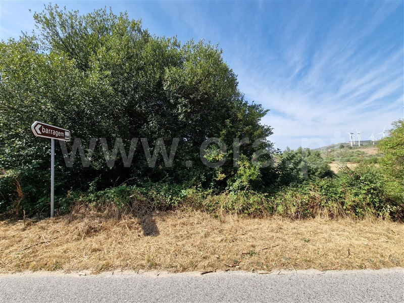 Terreno com ruina  Celorico da Beira, Cortiçô da Serra, Vide entre Vinhas e Salgueirais - 1494782 - 13