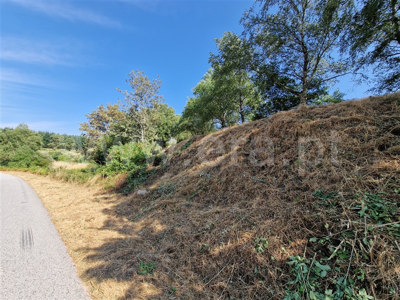 Terreno com ruina  Celorico da Beira, Cortiçô da Serra, Vide entre Vinhas e Salgueirais - 1494782 - 14