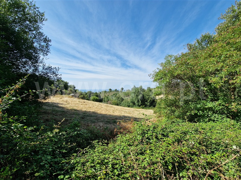 Terreno com ruina  Celorico da Beira, Cortiçô da Serra, Vide entre Vinhas e Salgueirais - 1494782 - 15