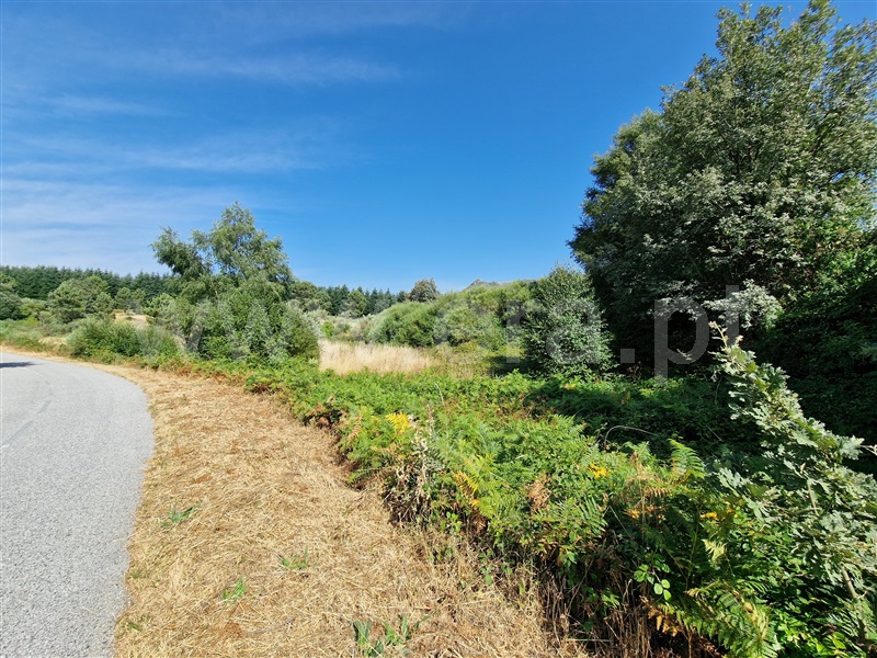 Terreno com ruina  Celorico da Beira, Cortiçô da Serra, Vide entre Vinhas e Salgueirais - 1494782 - 17