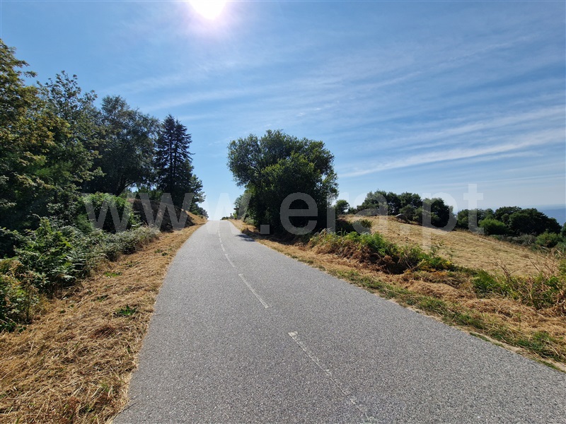 Terreno com ruina  Celorico da Beira, Cortiçô da Serra, Vide entre Vinhas e Salgueirais - 1494782 - 18