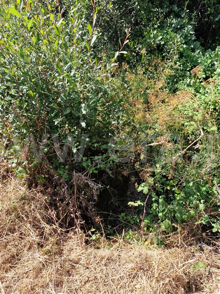 Terreno com ruina  Celorico da Beira, Cortiçô da Serra, Vide entre Vinhas e Salgueirais - 1494782 - 19