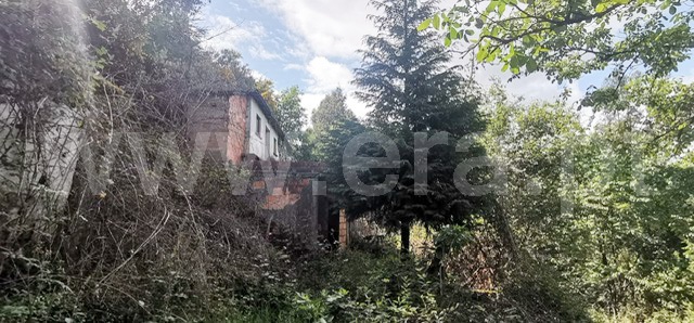 Terreno com ruina / Celorico de Basto, Basto (São Clemente)