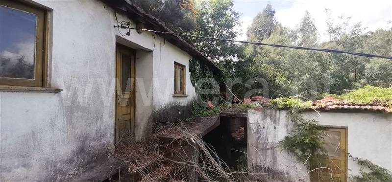 Terreno com ruina  Celorico de Basto, Basto (São Clemente) - 1252806 - 4