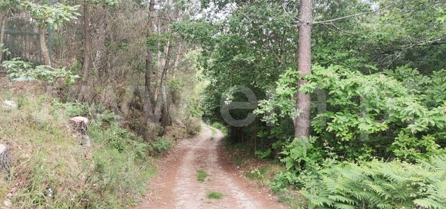Terreno com ruina  Celorico de Basto, Basto (São Clemente) - 1252806 - 7