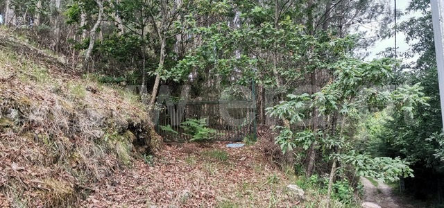 Terreno com ruina  Celorico de Basto, Basto (São Clemente) - 1252806 - 8