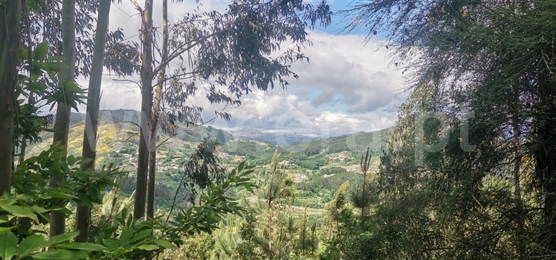 Terreno com ruina  Celorico de Basto, Basto (São Clemente) - 1252806 - 10