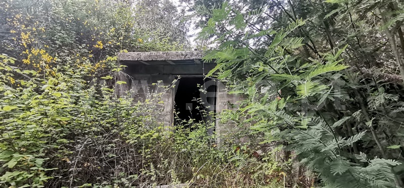 Terreno com ruina  Celorico de Basto, Basto (São Clemente) - 1252806 - 11