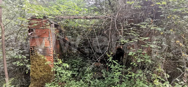 Terreno com ruina  Celorico de Basto, Basto (São Clemente) - 1252806 - 12