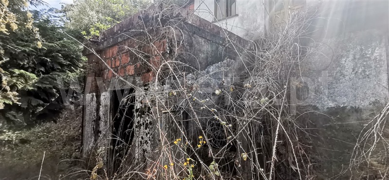 Terreno com ruina  Celorico de Basto, Basto (São Clemente) - 1252806 - 13