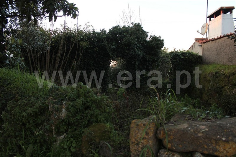 Terreno com ruina / Condeixa-a-Nova, Condeixa - Centro