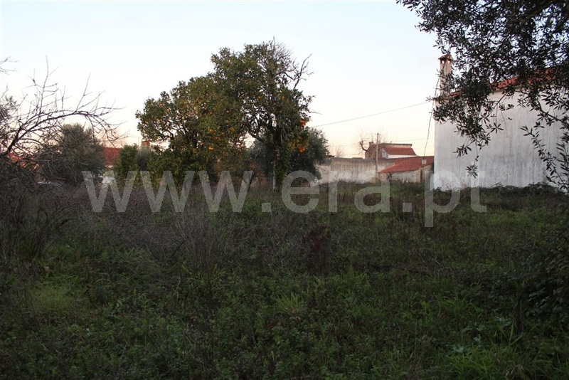 Terreno com ruina  Condeixa-a-Nova, Condeixa - 1143941 - 2
