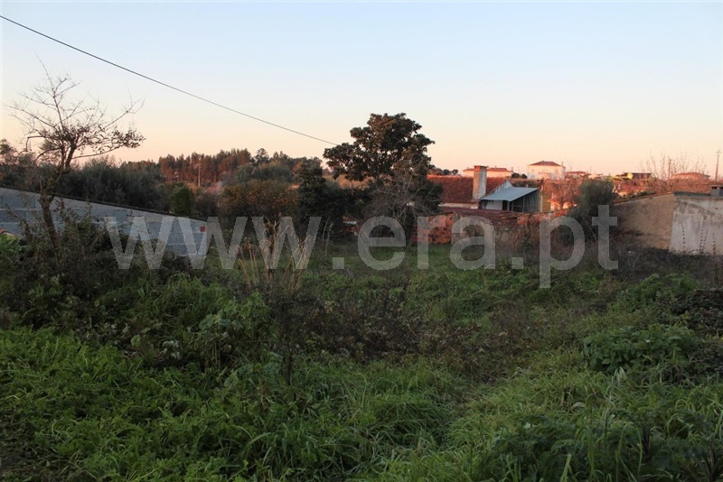 Terreno com ruina  Condeixa-a-Nova, Condeixa - 1143941 - 4