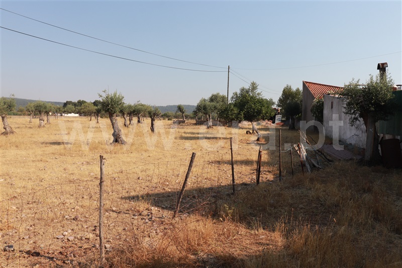 Terreno com ruina  Constância, Montalvo - 1260165 - 1