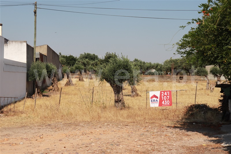 Terreno com ruina  Constância, Montalvo - 1260165 - 5