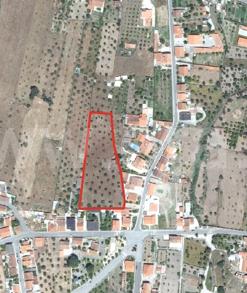 Terreno com ruina  Constância, Montalvo - 1260165 - 10