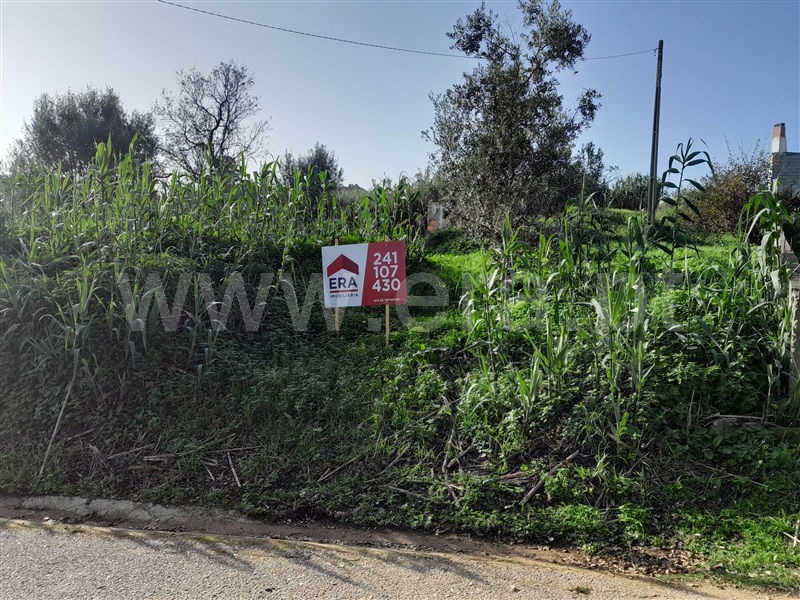 Terreno com ruina / Constância, Portela