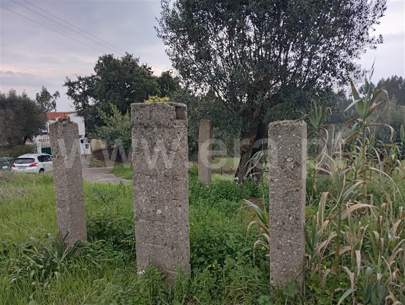 Terreno para Construção  Constância, Portela - 1447184 - 4