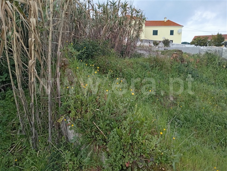 Terreno para Construção  Constância, Portela - 1447184 - 6