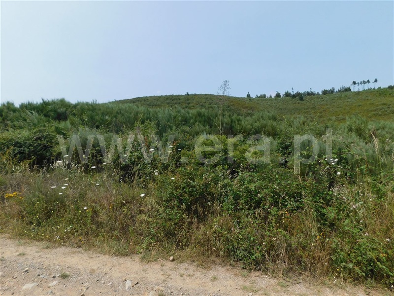 Terreno com ruina  Covilhã, Barco e Coutada - 1337909 - 2