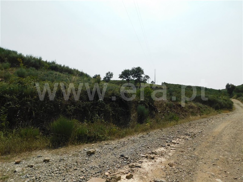Terreno com ruina  Covilhã, Barco e Coutada - 1337909 - 3