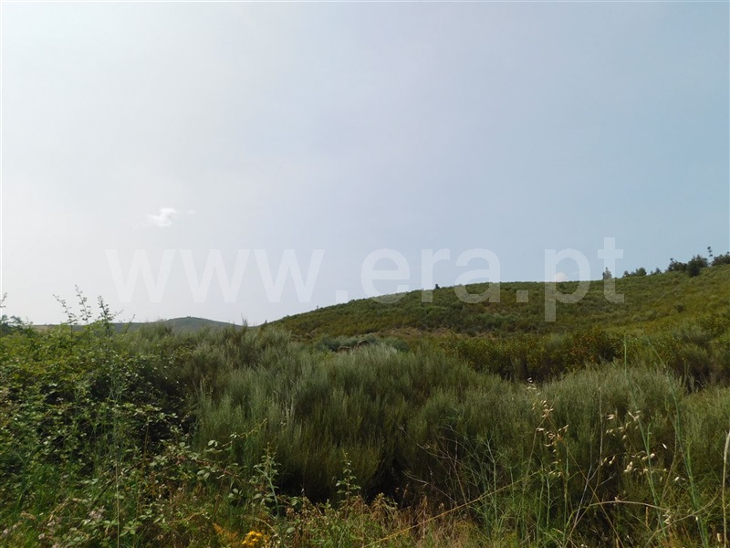 Terreno com ruina  Covilhã, Barco e Coutada - 1337909 - 4
