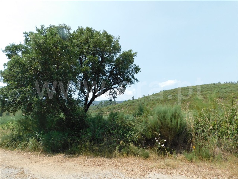 Terreno com ruina  Covilhã, Barco e Coutada - 1337909 - 5