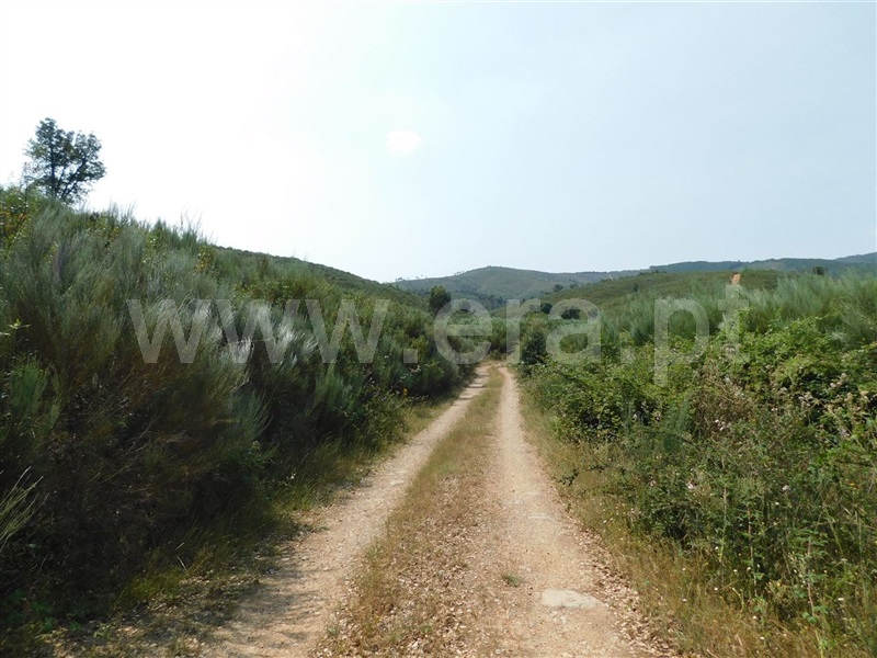 Terreno com ruina  Covilhã, Barco e Coutada - 1337909 - 6
