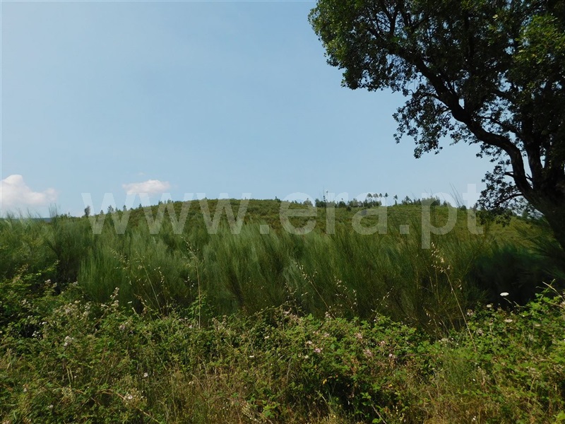 Terreno com ruina  Covilhã, Barco e Coutada - 1337909 - 7