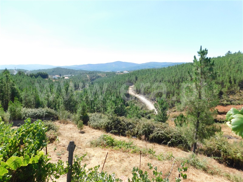 Terreno com ruina / Covilhã, Casegas
