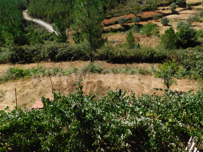 Quinta T0 Covilhã, Casegas - 1188031 - 11