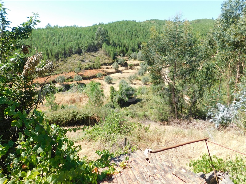 Quinta T0 Covilhã, Casegas - 1188031 - 14