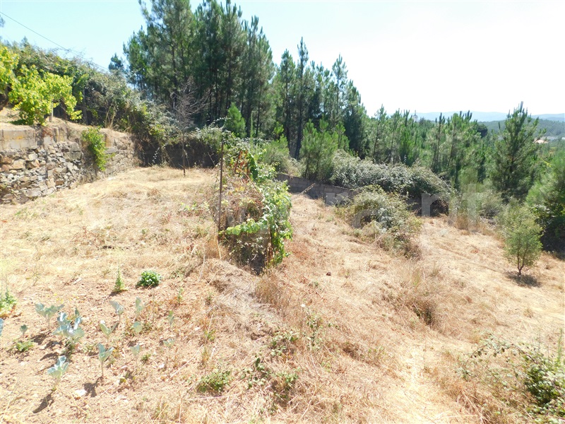 Quinta T0 Covilhã, Casegas - 1188031 - 18