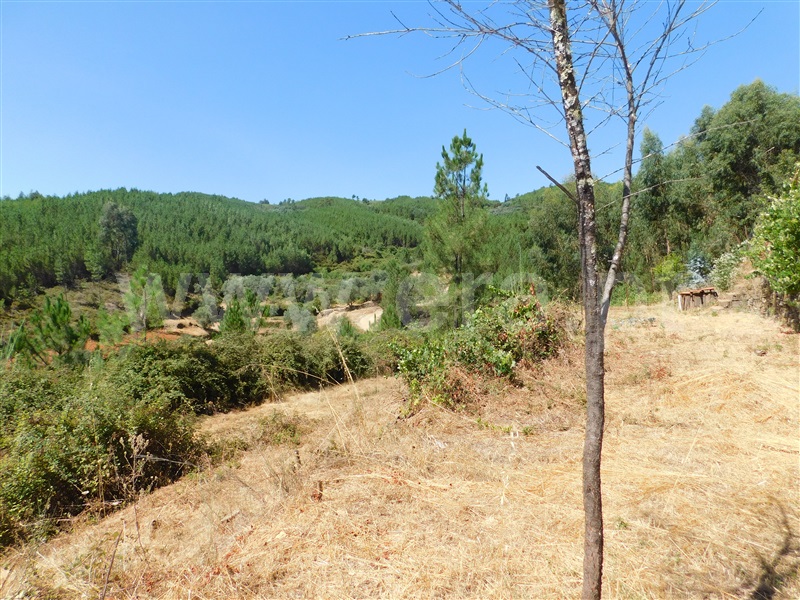 Quinta T0 Covilhã, Casegas - 1188031 - 19