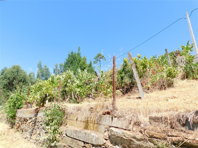 Quinta T0 Covilhã, Casegas - 1188031 - 20