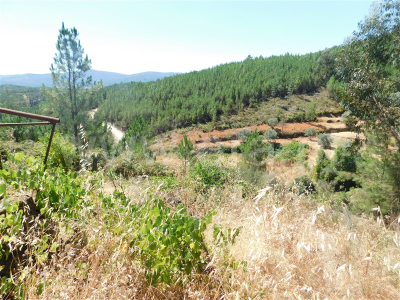 Quinta T0 Covilhã, Casegas - 1188031 - 29