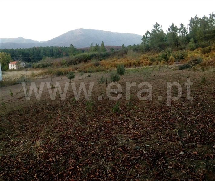Terreno com ruina / Covilhã, Cortes do Meio
