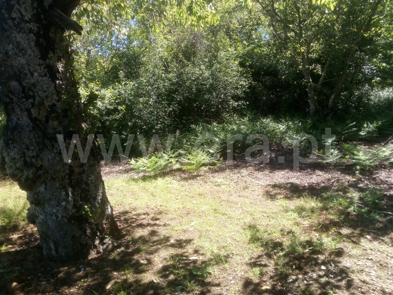 Terreno  Covilhã, Cortes do Meio - 1098589 - 4